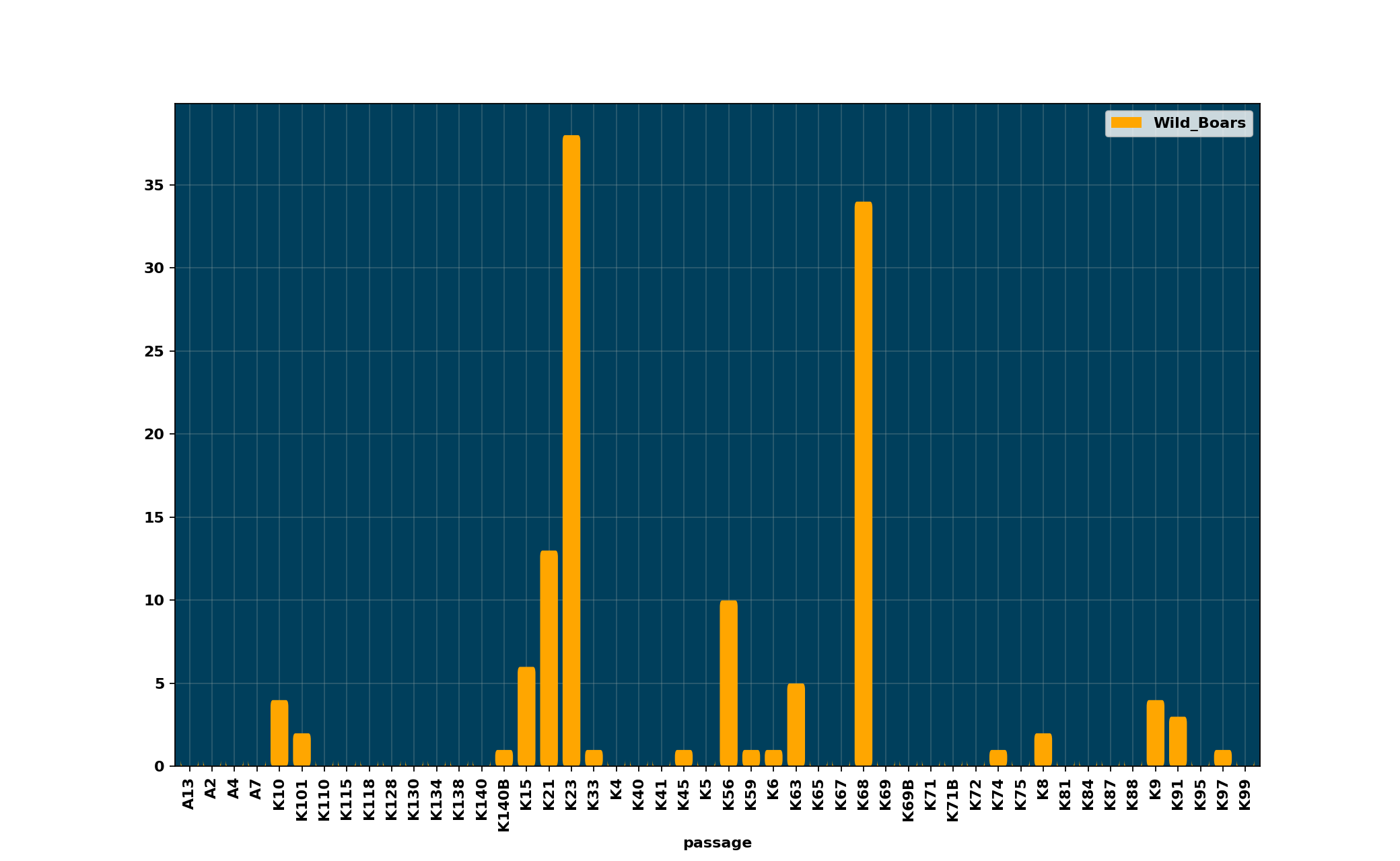 Wild_Boars_per_passage